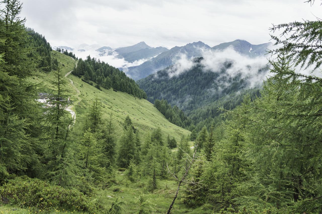 Gasthaus Furlhuette Випитено Экстерьер фото